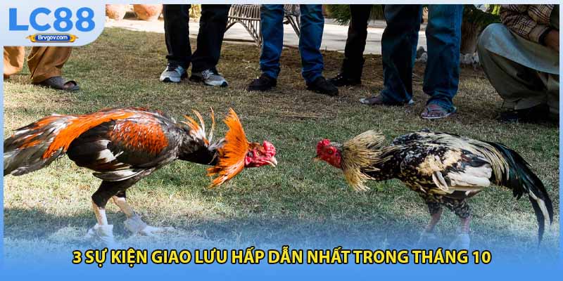 3 sự kiện giao lưu hấp dẫn nhất trong tháng 10