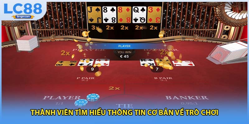 Thành viên tìm hiểu thông tin cơ bản về trò chơi